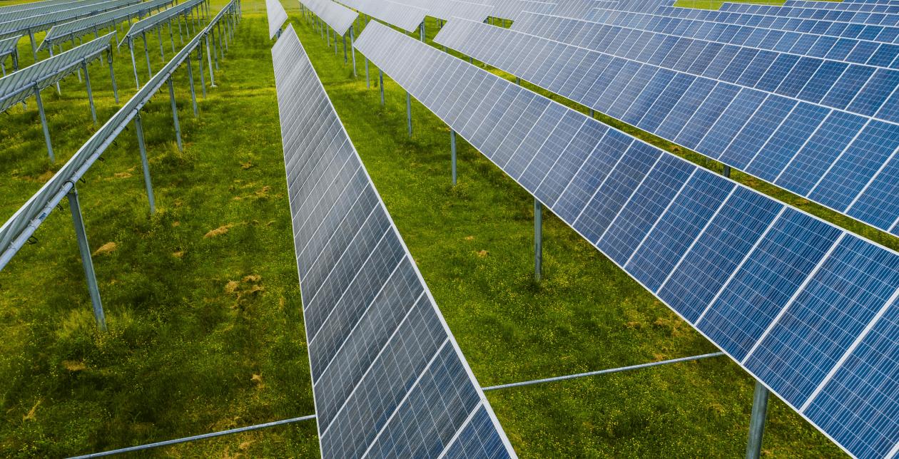 The future of solar energy
