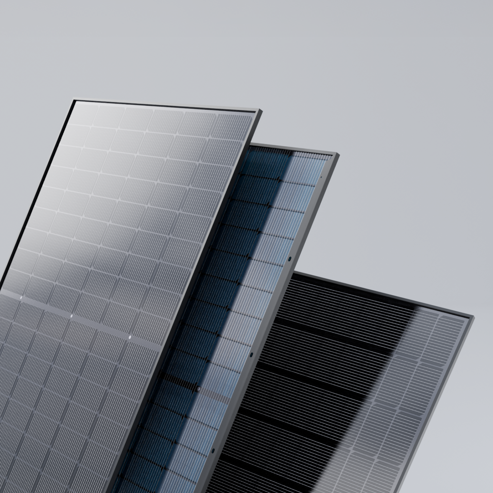 Basic (senza fissazione)